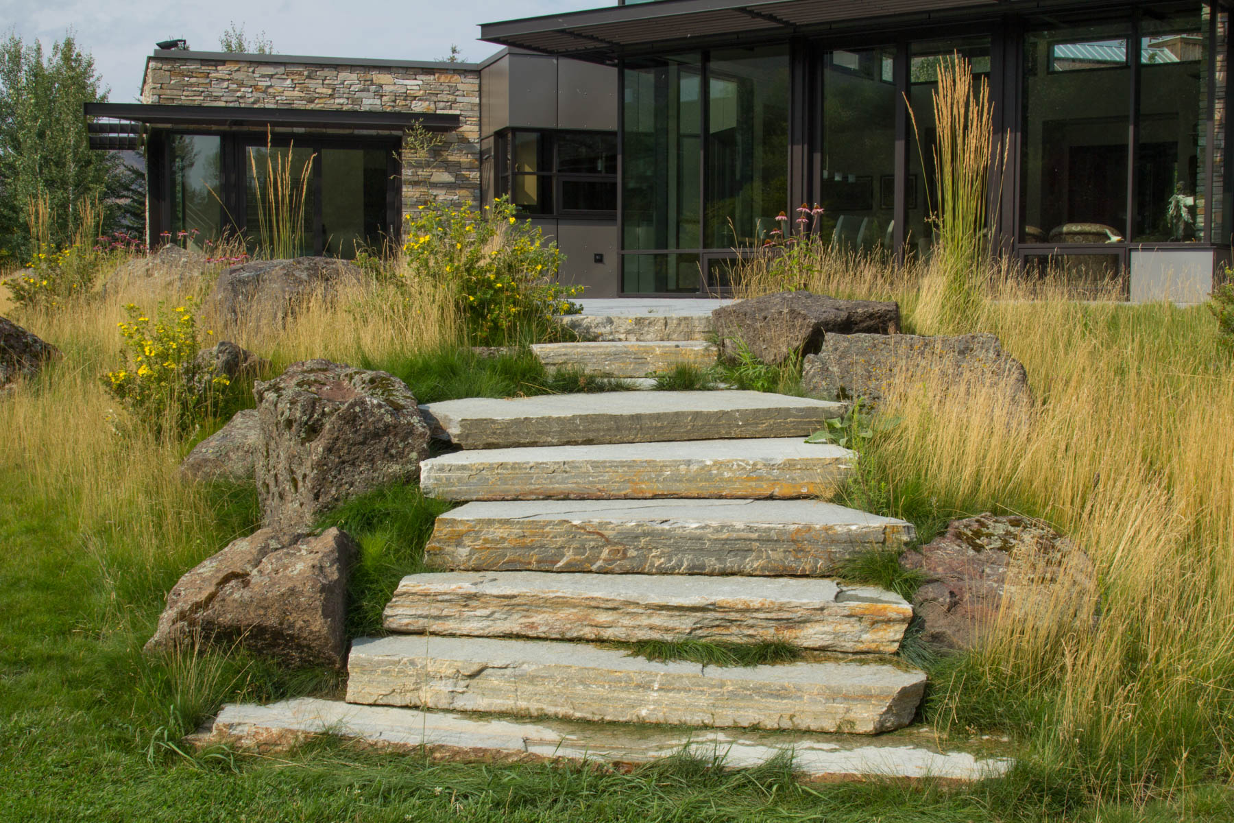 Doty_140820_Wirth_023