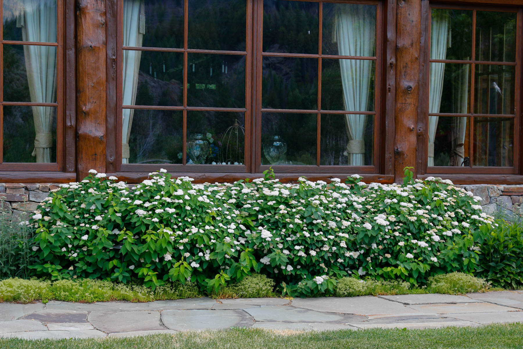 Eggers_150630_Whitcomb_068