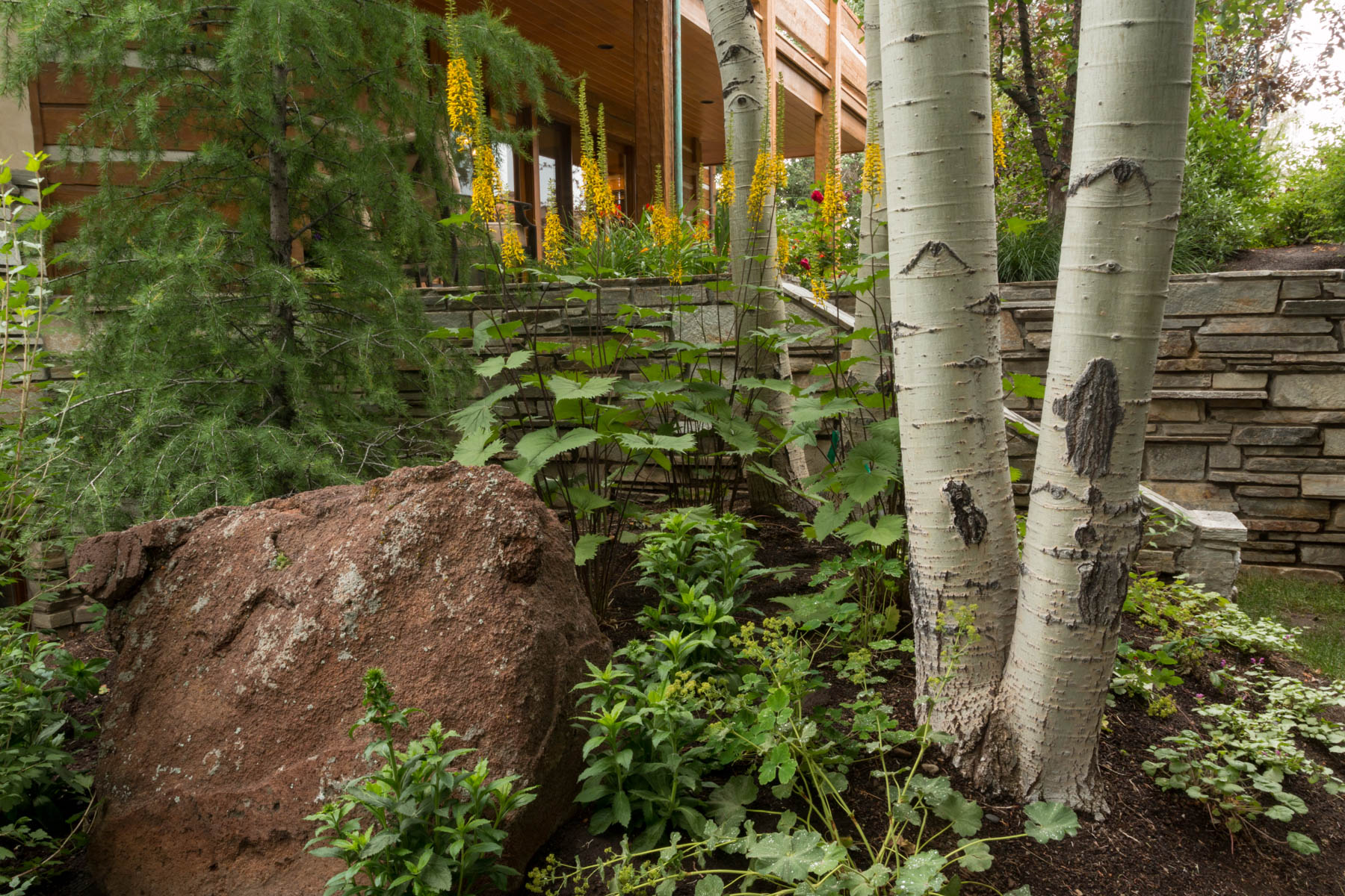 Eggers_150714_Martin2_007