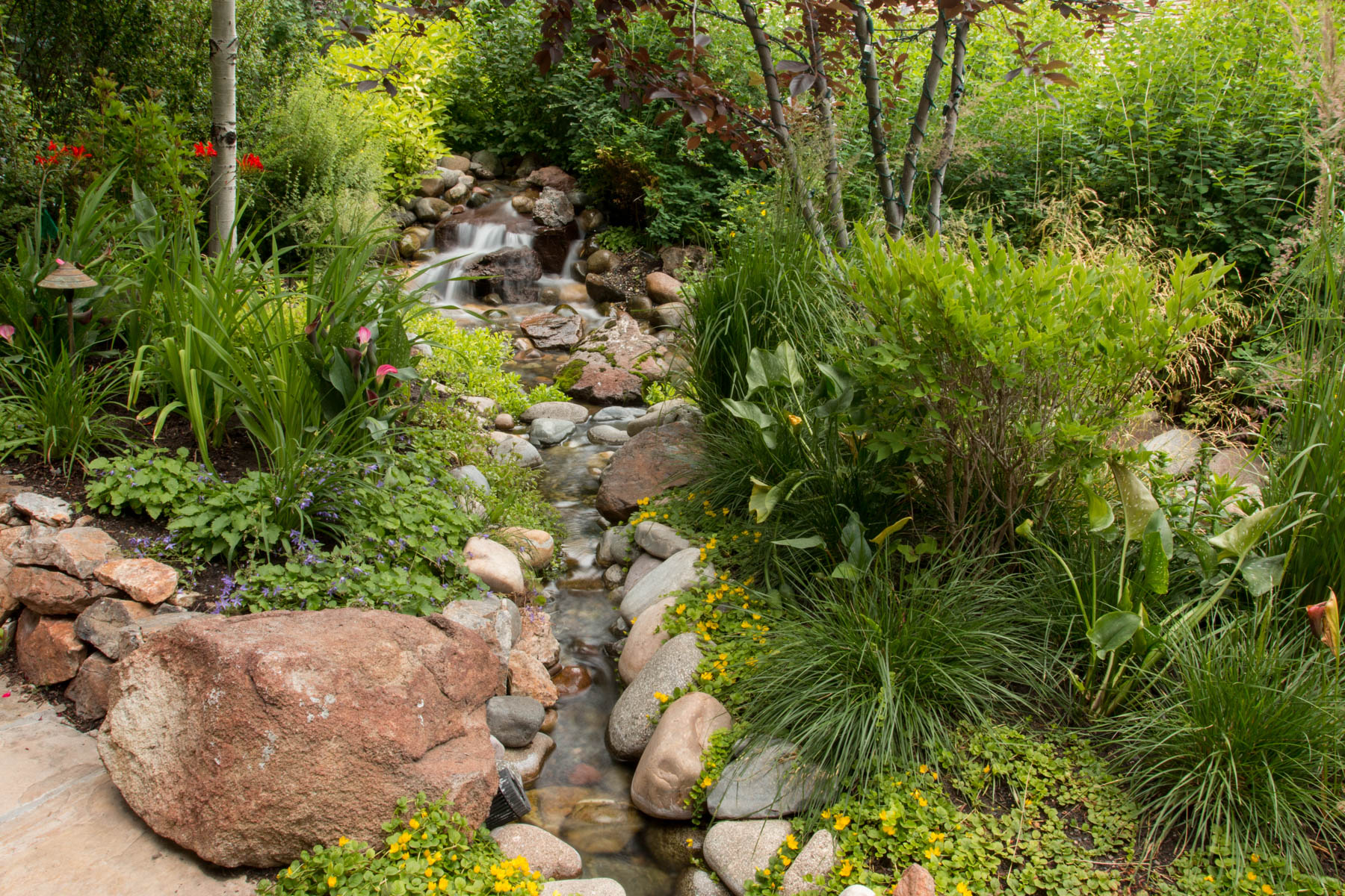 Eggers_150714_Martin2_012