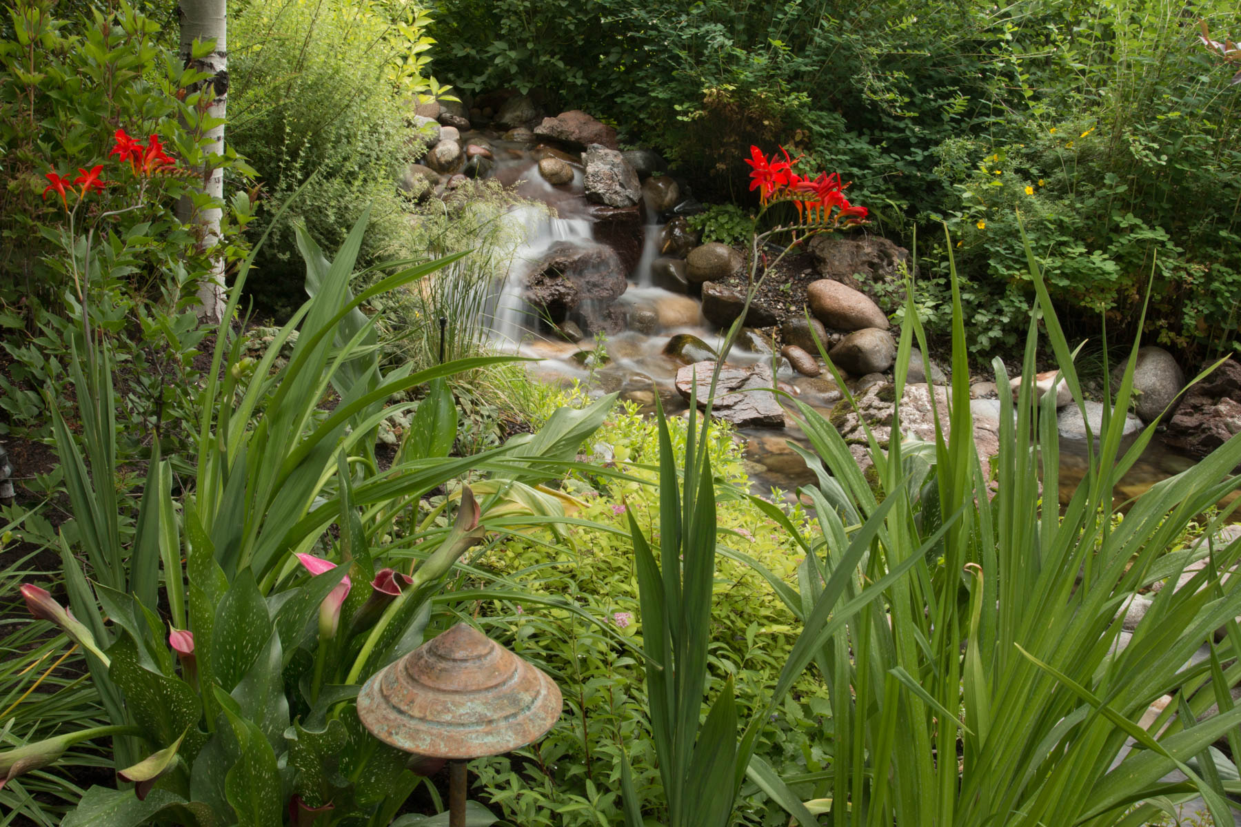 Eggers_150714_Martin2_014