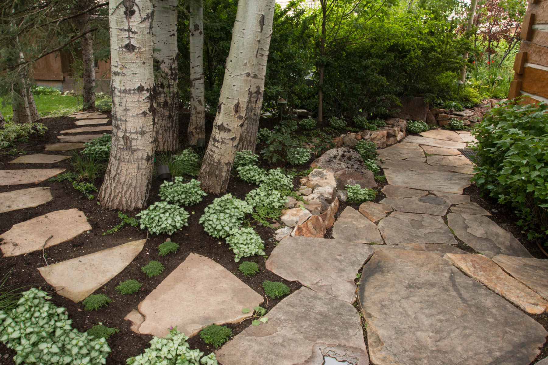 Eggers_150714_Martin2_020